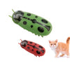 Cat toy in use