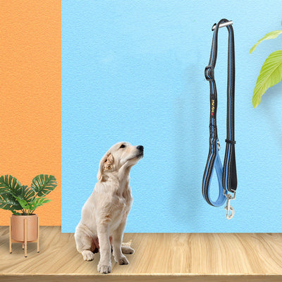 Retractable Dog Leash 5m Nylon